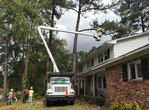 Best Hazardous Tree Removal  in Governors Clu, NC